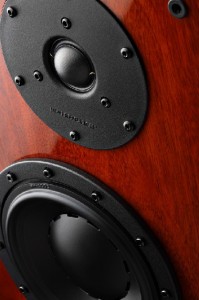 Swan HiVi 2.1SE Monitor speaker