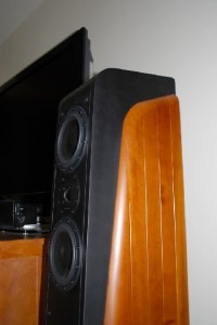 Swan D3.2F+ Speakers