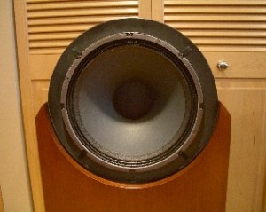 Emerald Physics CS3 Speaker